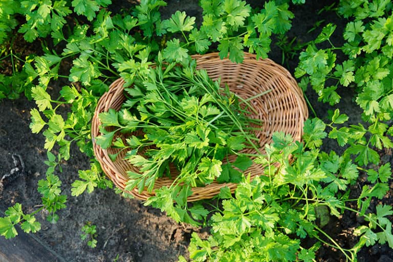храни за красива усмивка